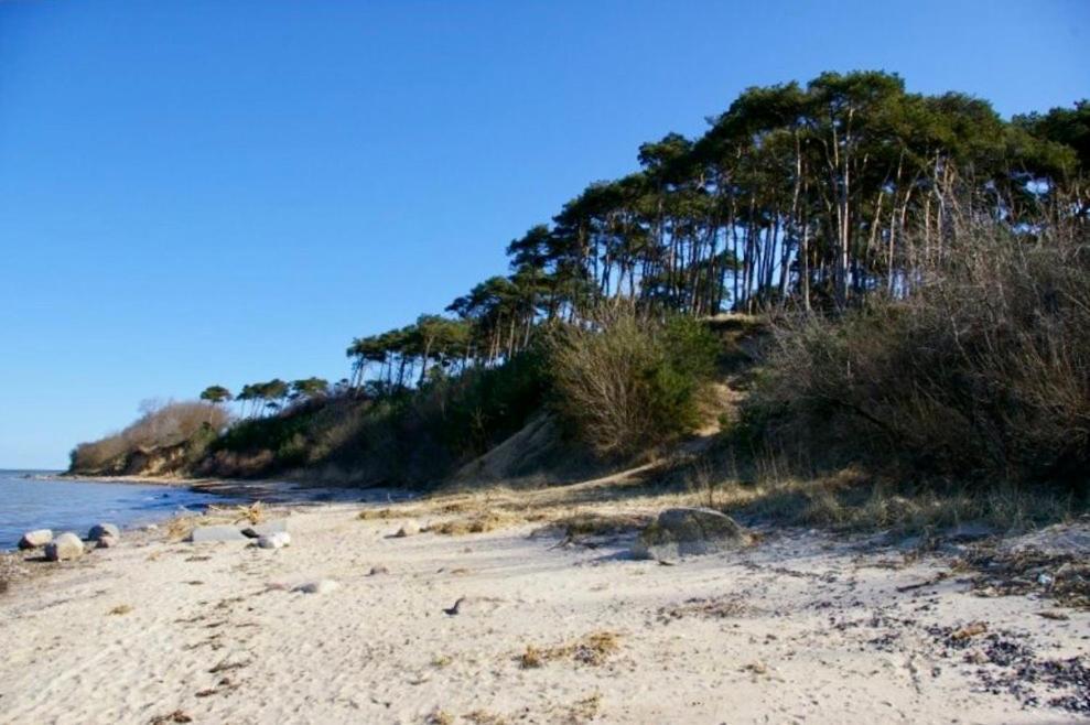 Tallskog - Dein Apartment Am Naturstrand Hohen Wieschendorf Hohenkirchen  Екстериор снимка