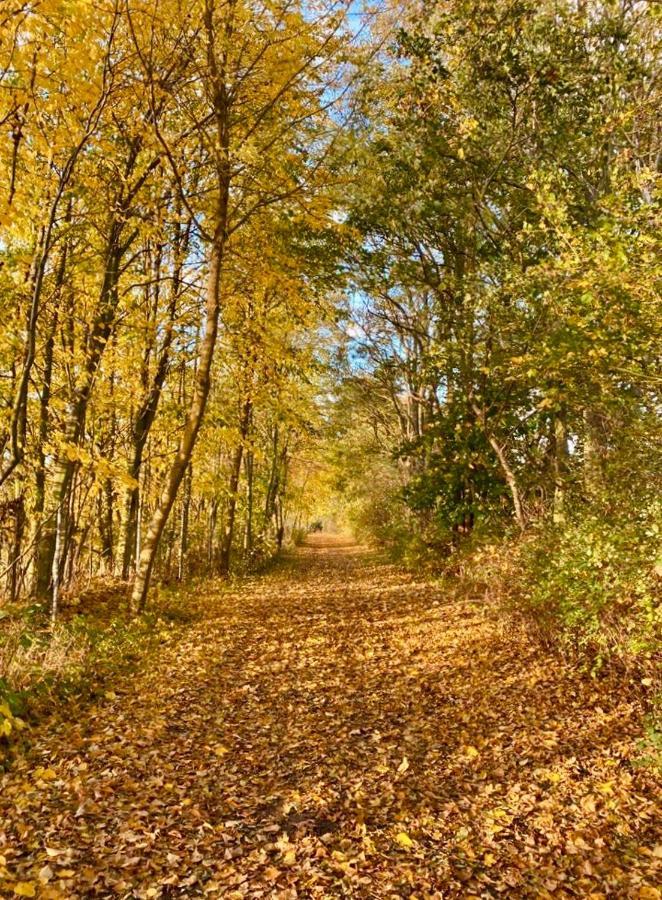 Tallskog - Dein Apartment Am Naturstrand Hohen Wieschendorf Hohenkirchen  Екстериор снимка